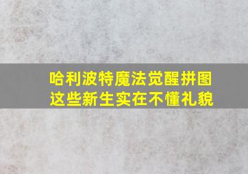 哈利波特魔法觉醒拼图 这些新生实在不懂礼貌